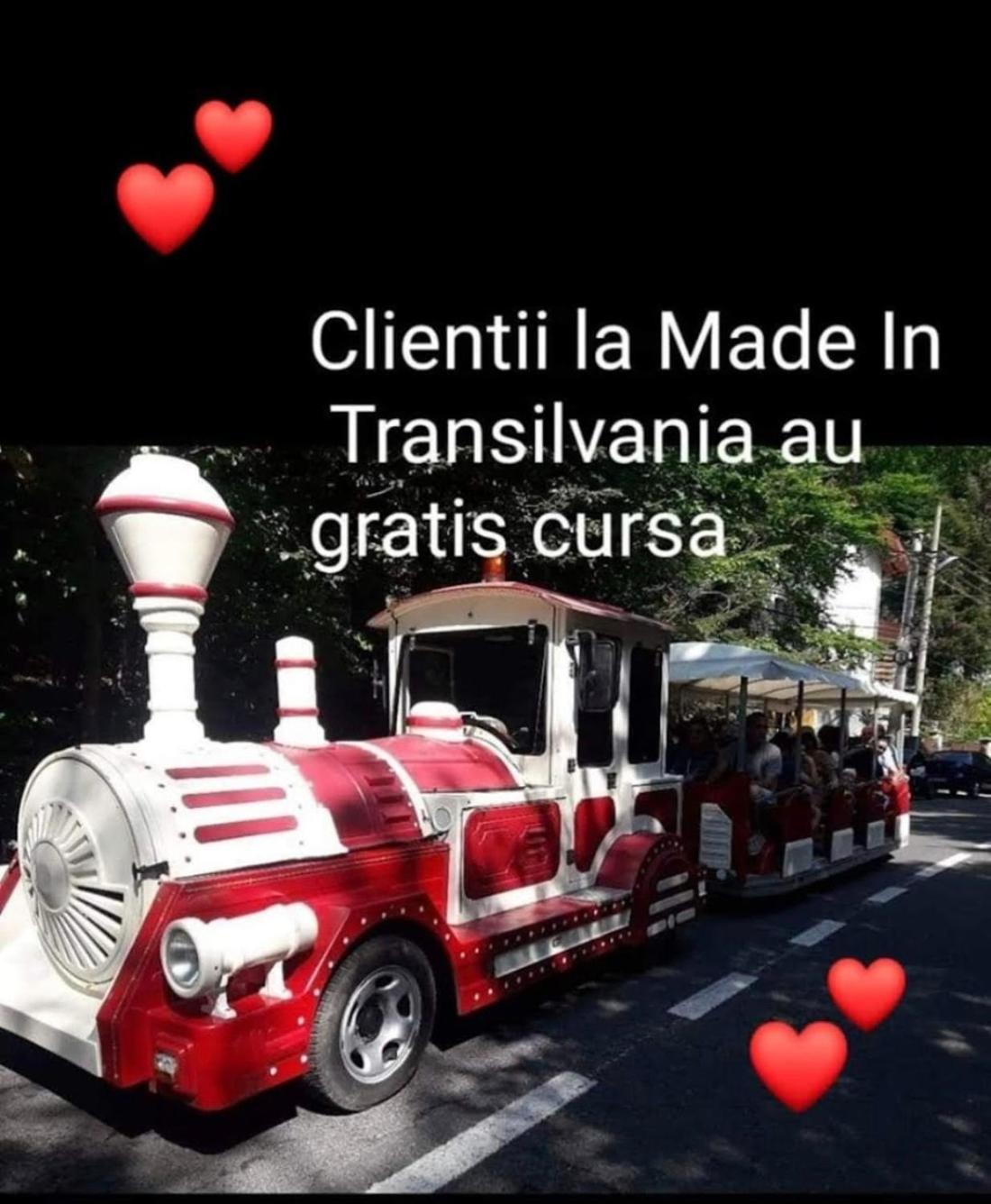 Made In Transilvania Sighişoara Extérieur photo